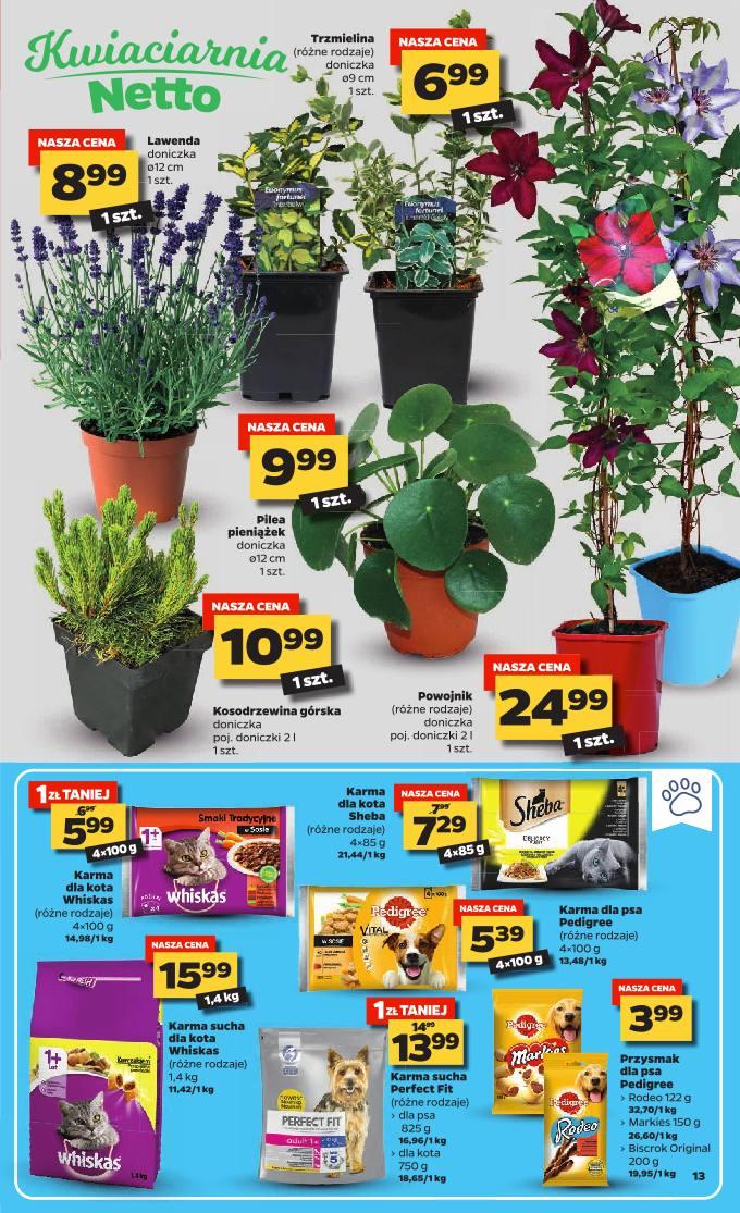 Gazetka promocyjna Netto str. 13