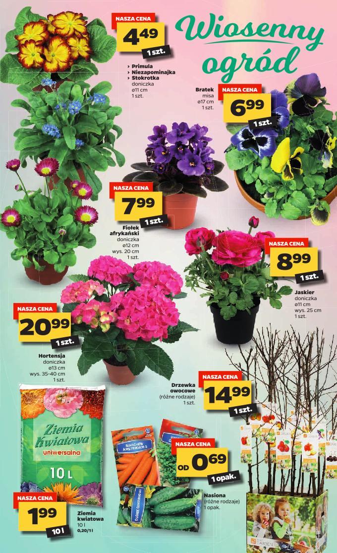 Gazetka promocyjna Netto str. 13