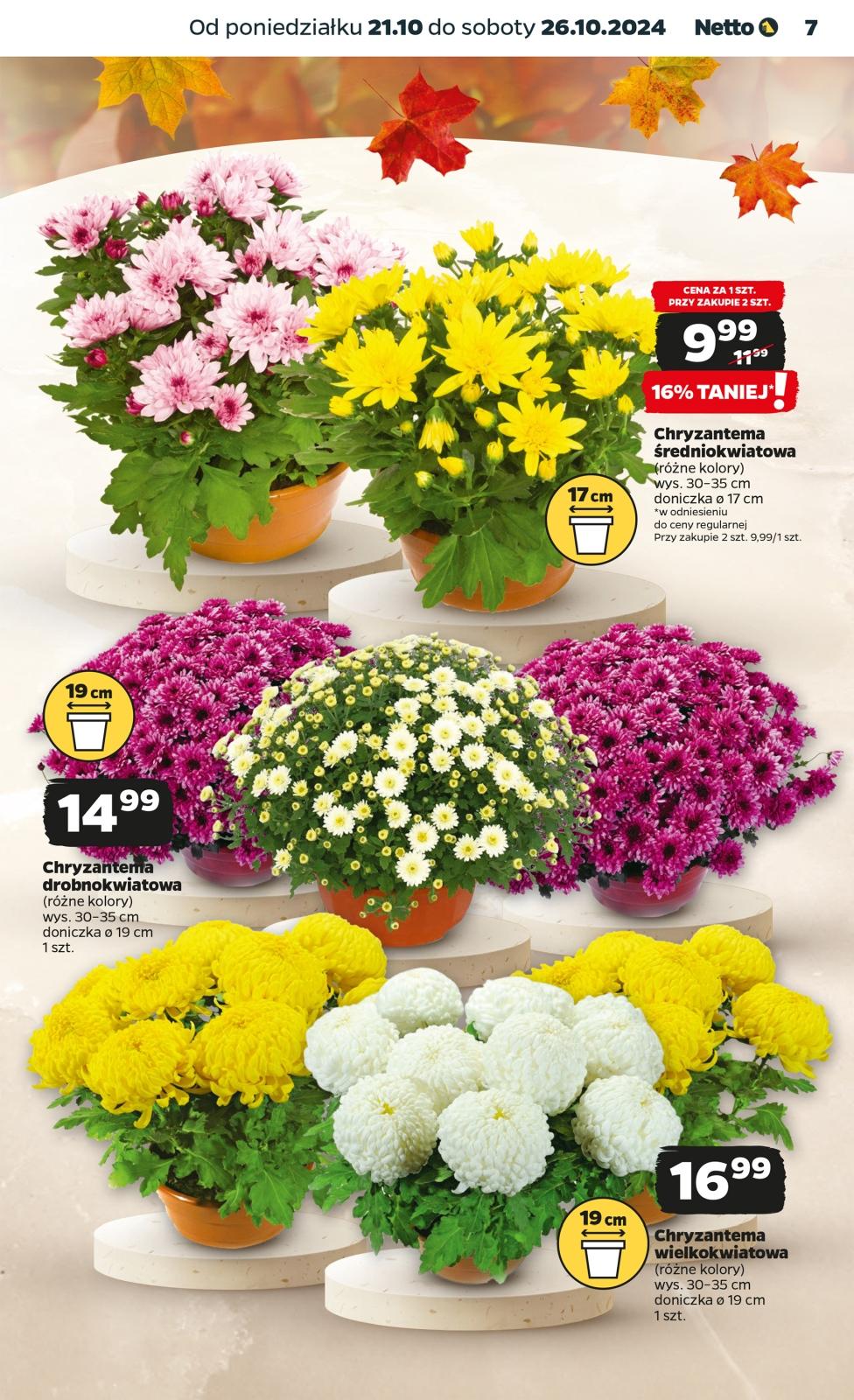 Gazetka promocyjna Netto str. 7