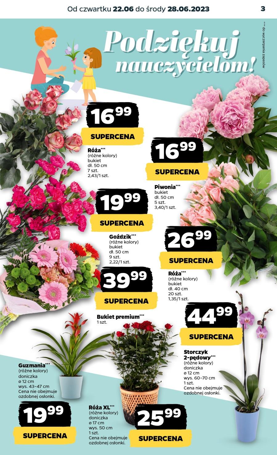 Gazetka promocyjna Netto str. 3