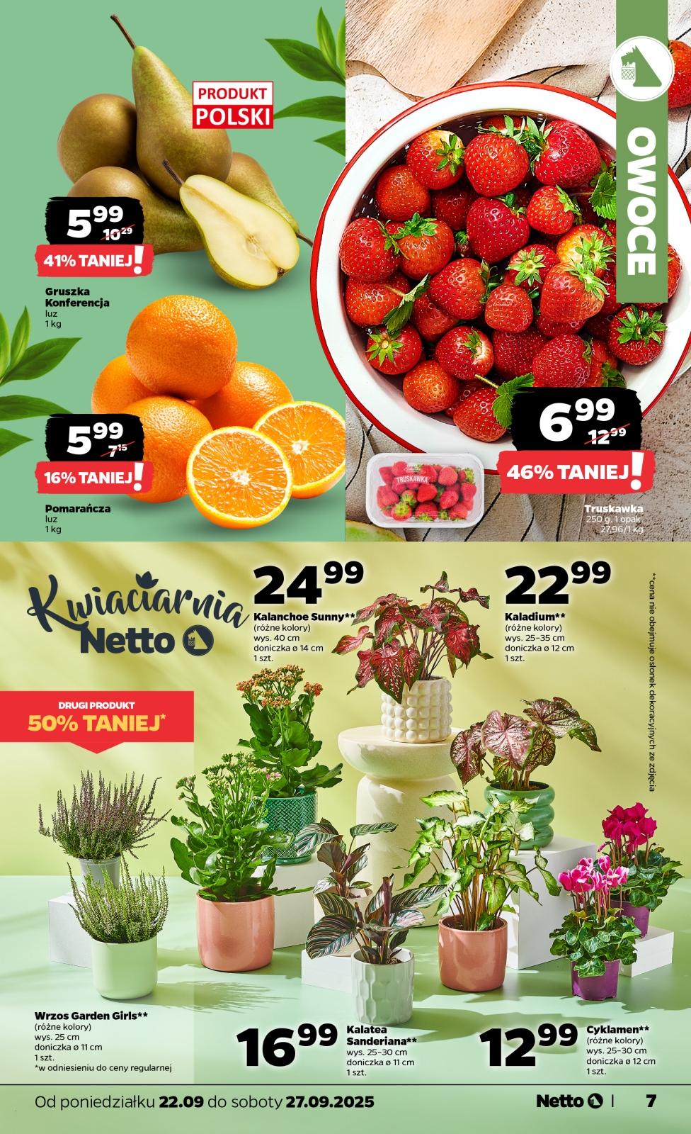 Gazetka promocyjna Netto str. 7