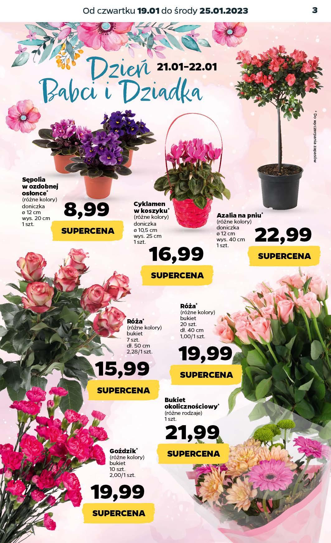 Gazetka promocyjna Netto str. 3