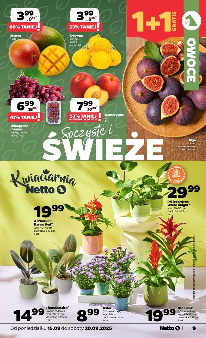 Gazetka promocyjna Netto str. 9