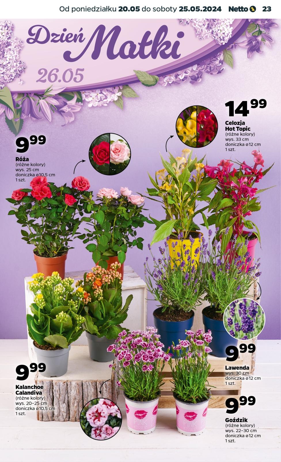 Gazetka promocyjna Netto str. 23