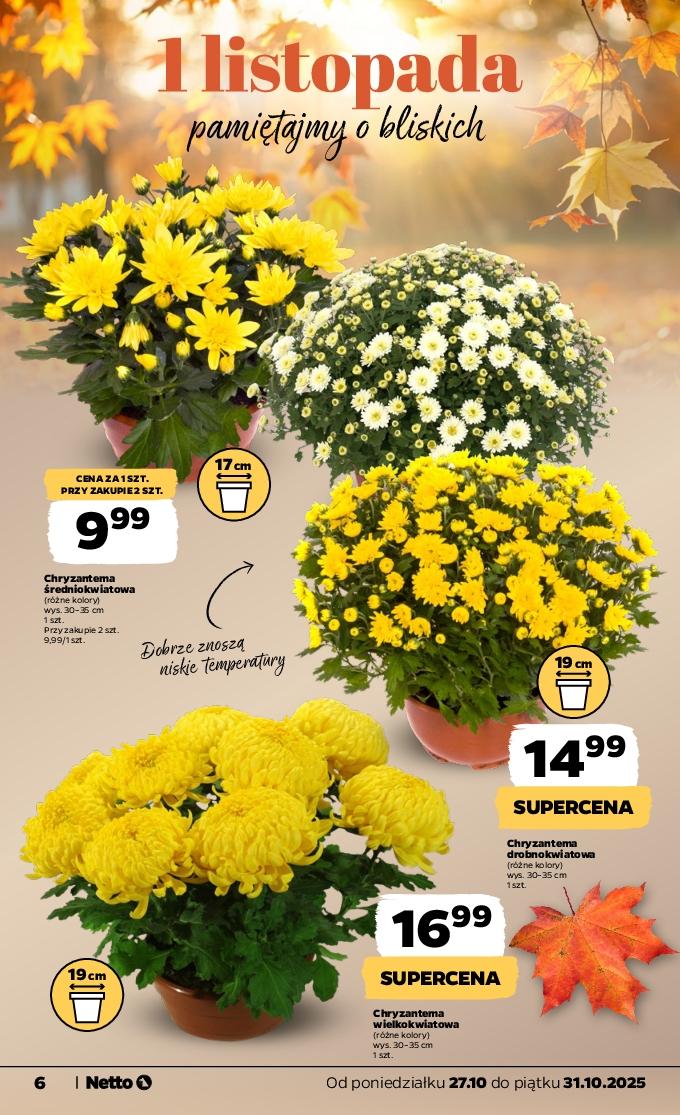 Gazetka promocyjna Netto str. 6