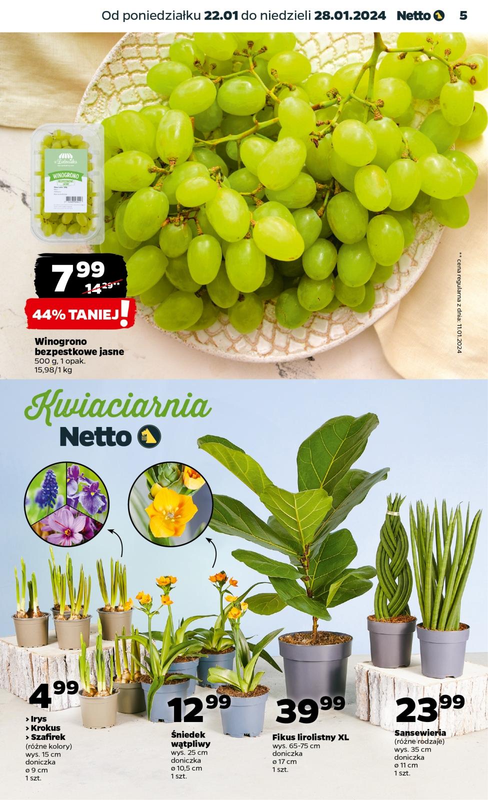 Gazetka promocyjna Netto str. 5