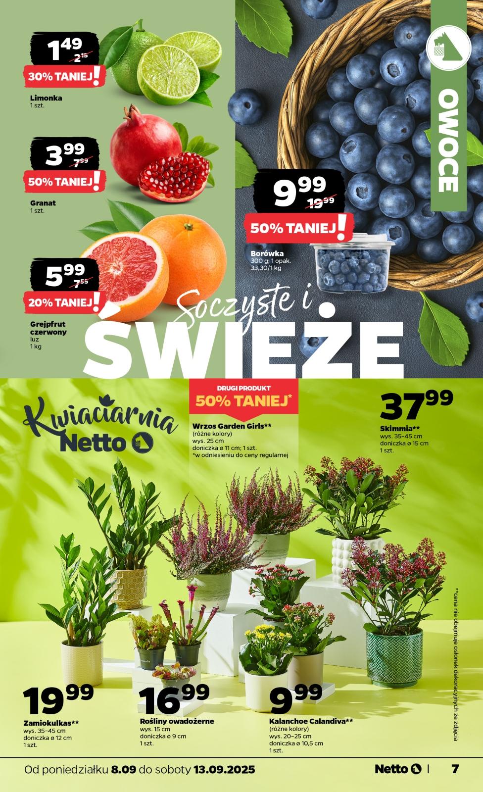Gazetka promocyjna Netto str. 7
