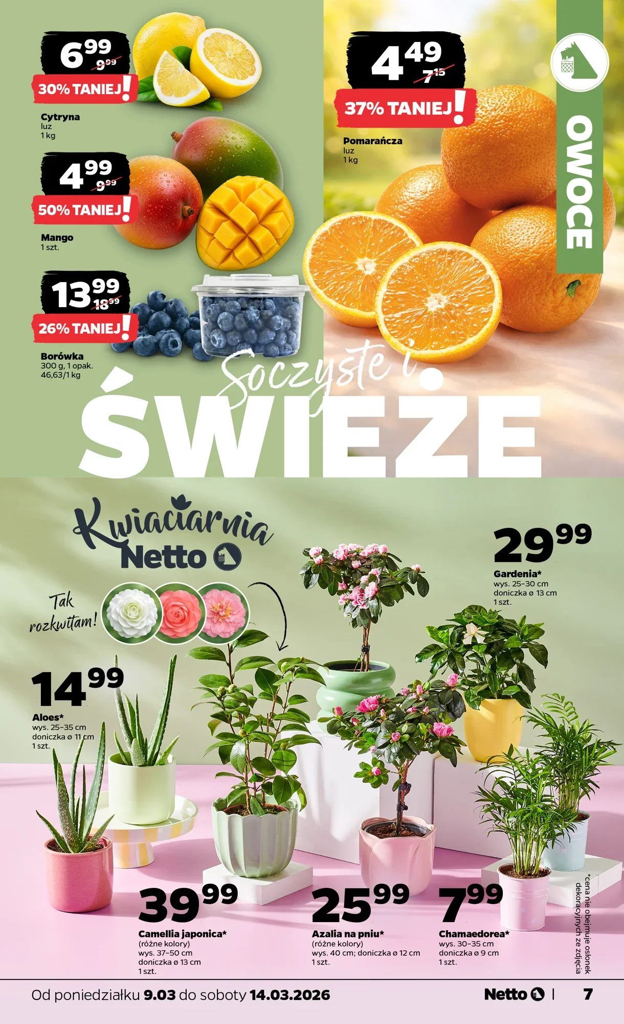 Gazetka promocyjna Netto str. 7