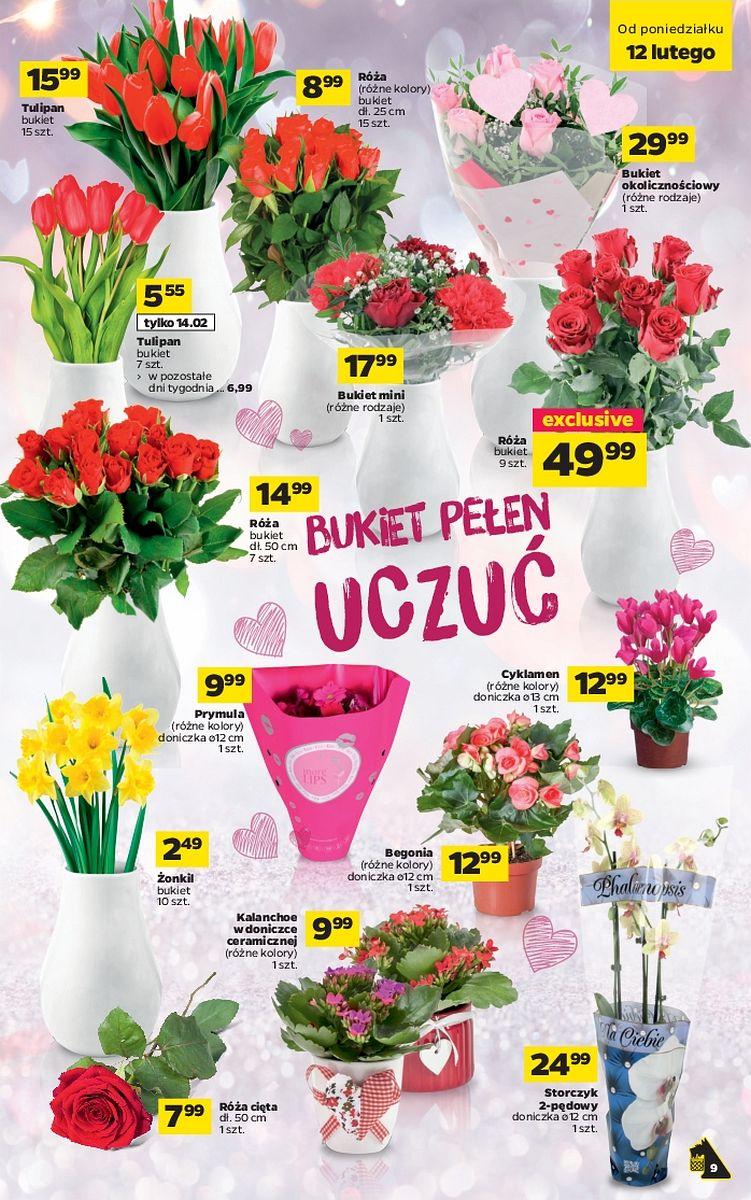 Gazetka promocyjna Netto str. 9
