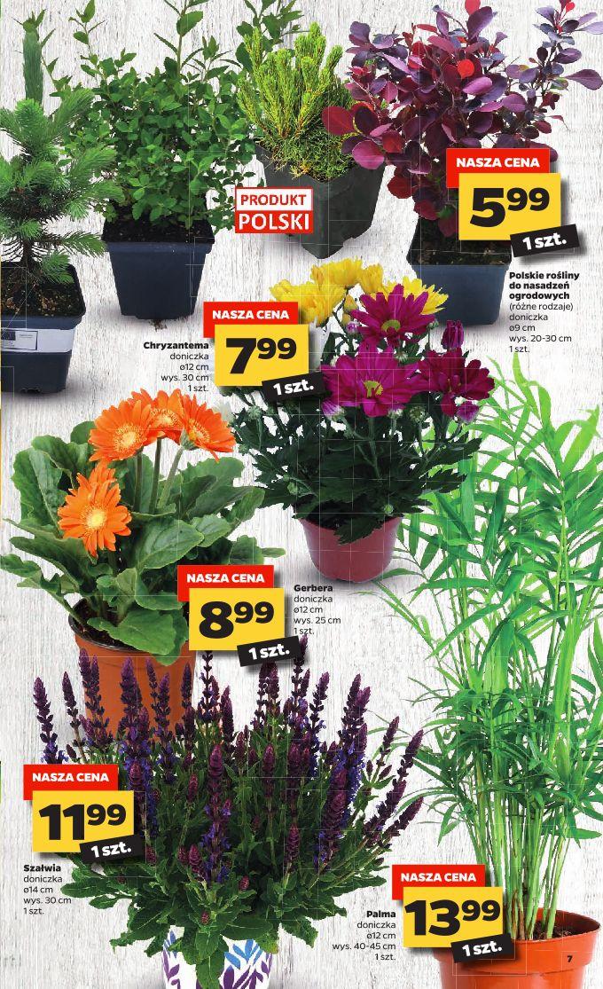 Gazetka promocyjna Netto str. 7