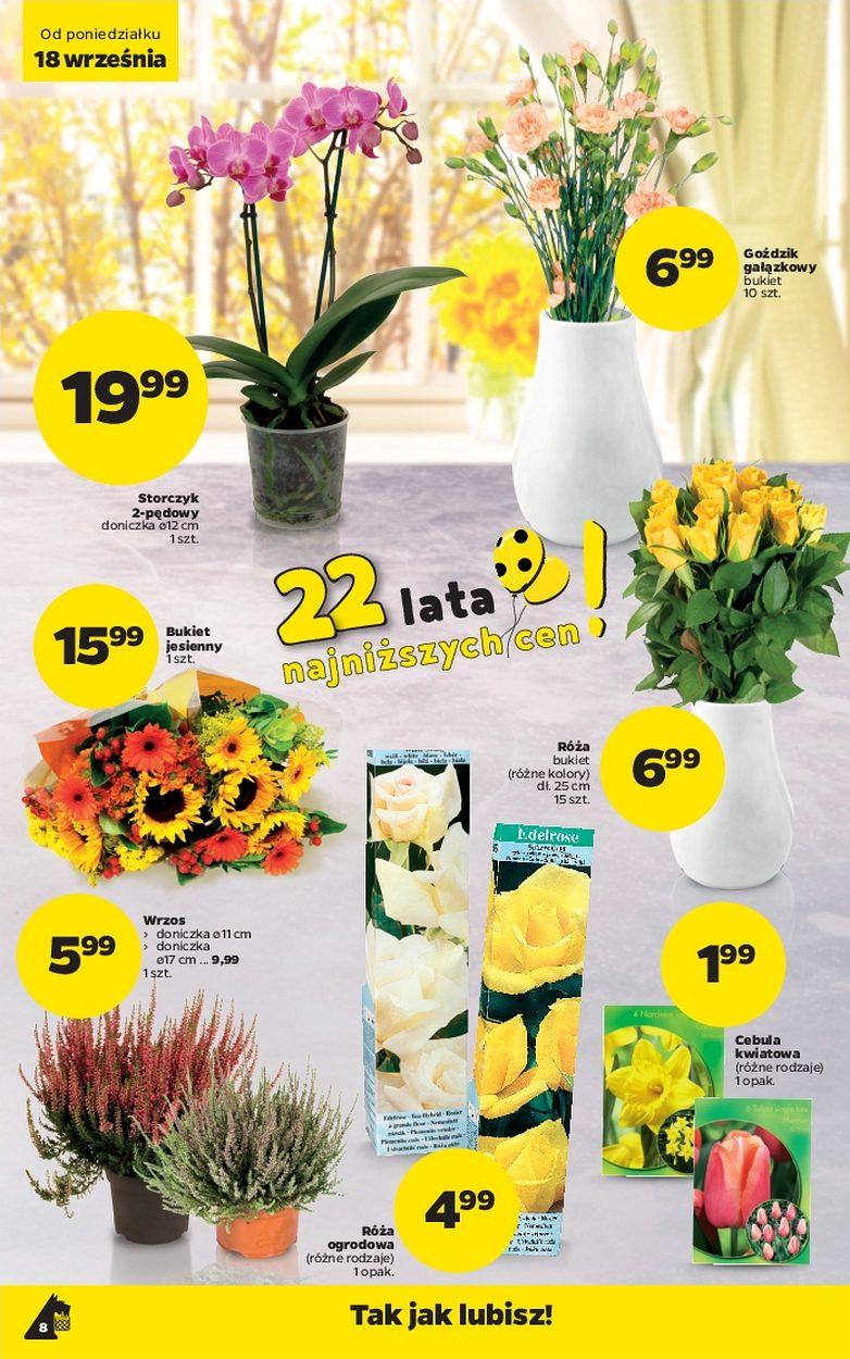 Gazetka promocyjna Netto str. 8
