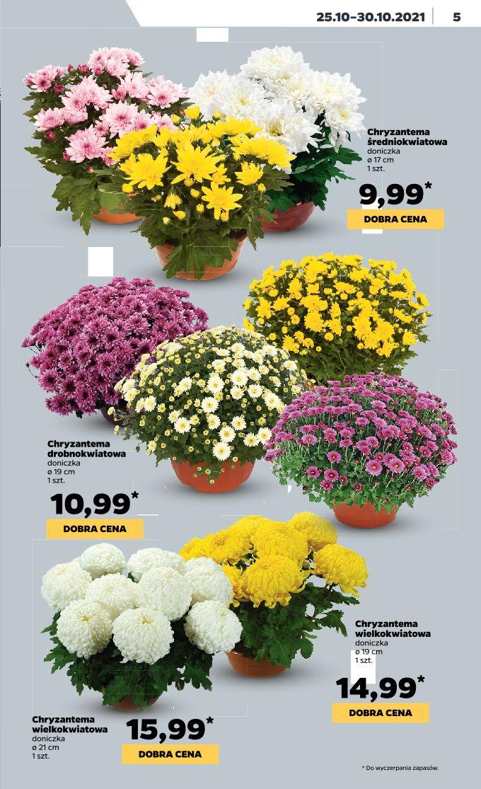 Gazetka promocyjna Netto str. 5