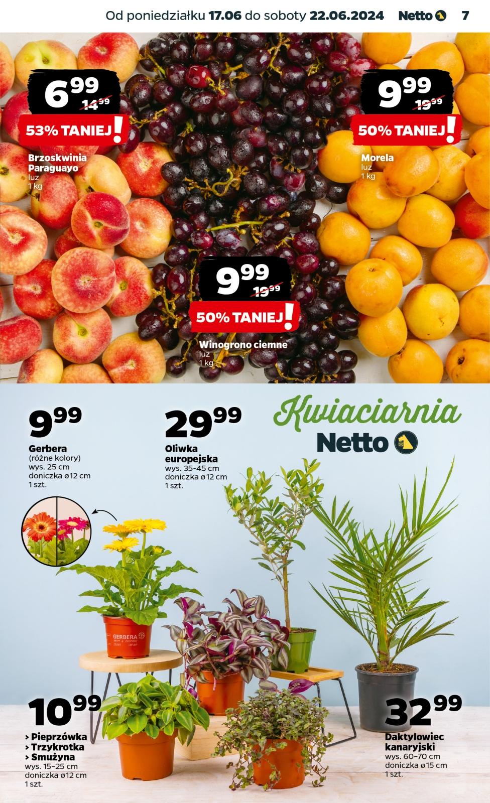 Gazetka promocyjna Netto str. 7