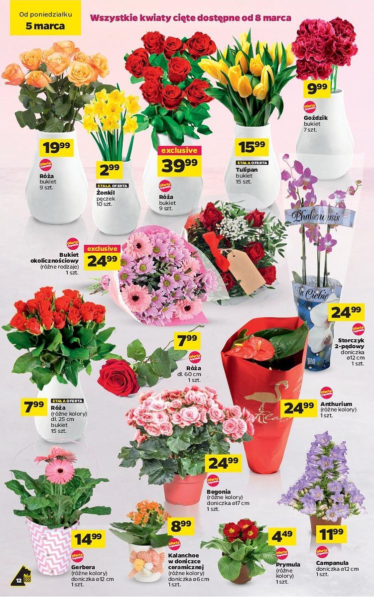 Gazetka promocyjna Netto str. 12