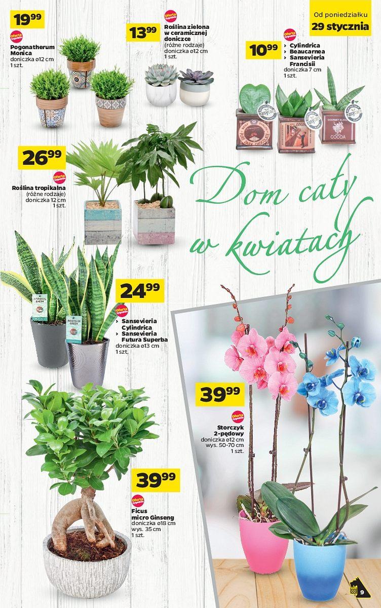 Gazetka promocyjna Netto str. 9