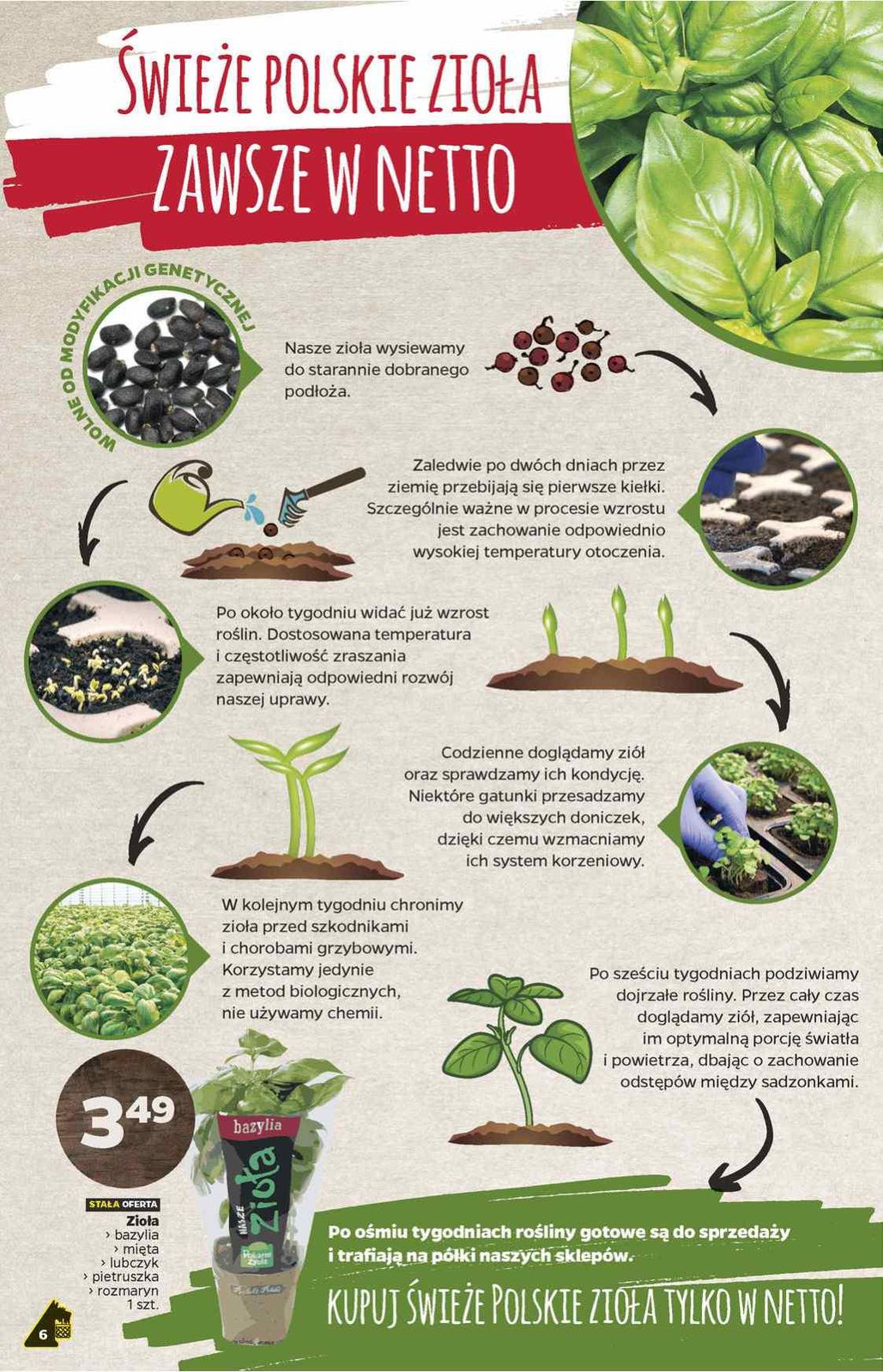 Gazetka promocyjna Netto str. 6