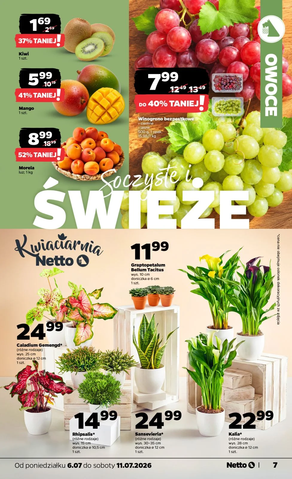 Gazetka promocyjna Netto str. 7