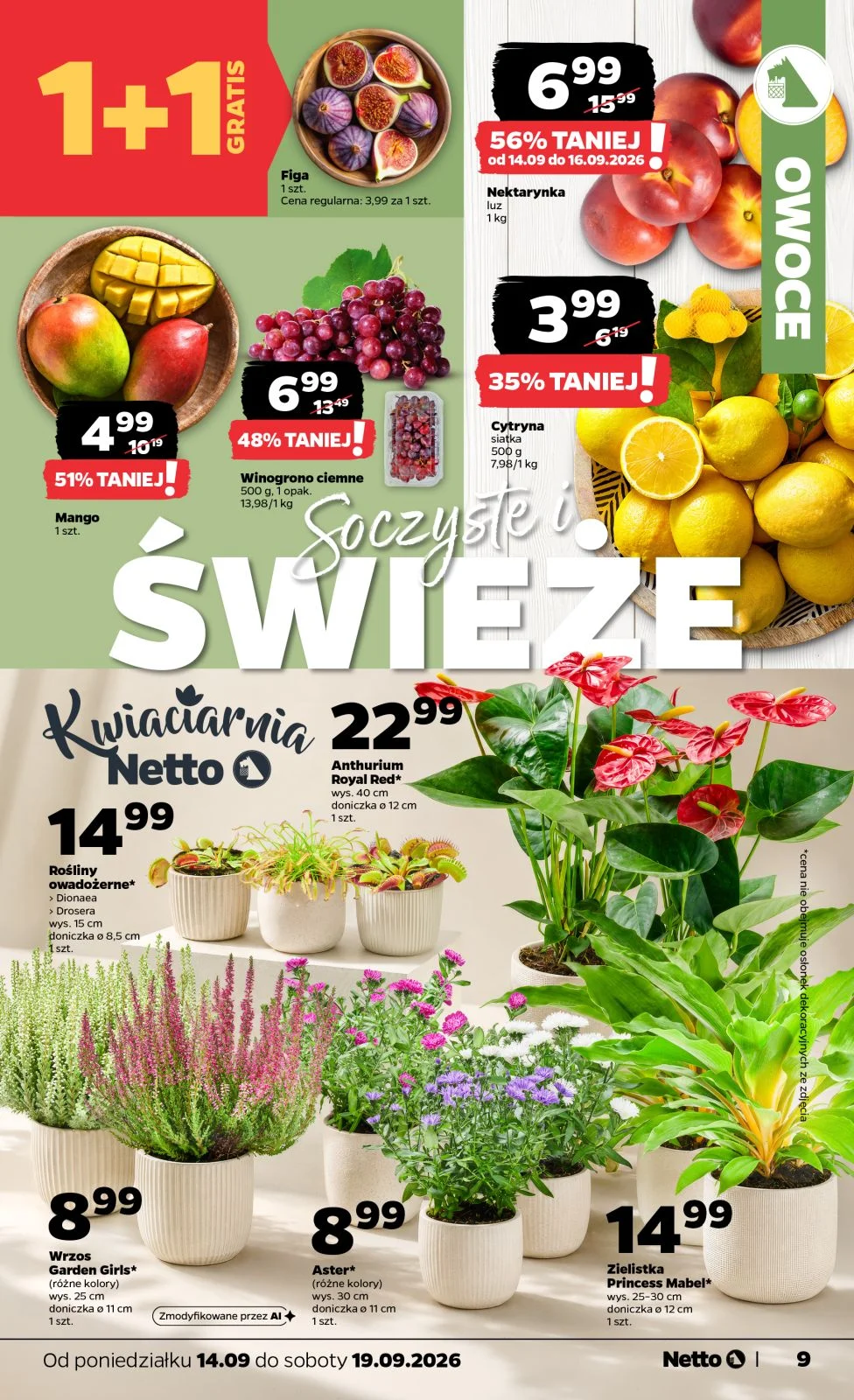 Gazetka promocyjna Netto str. 9