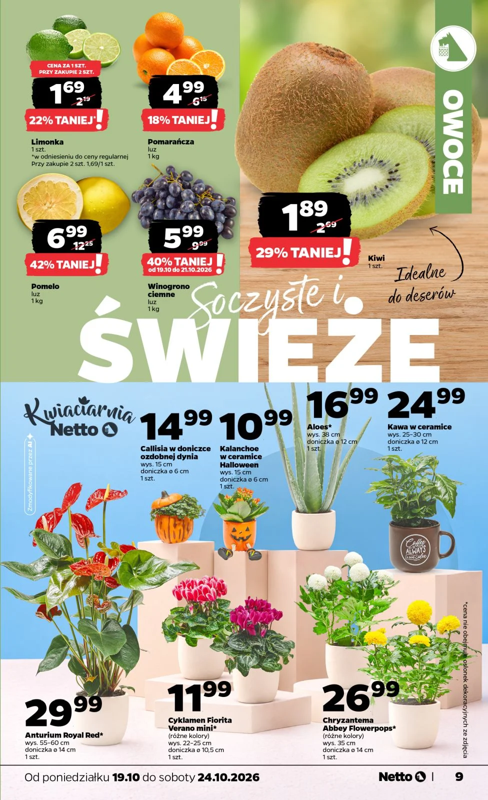 Gazetka promocyjna Netto str. 9