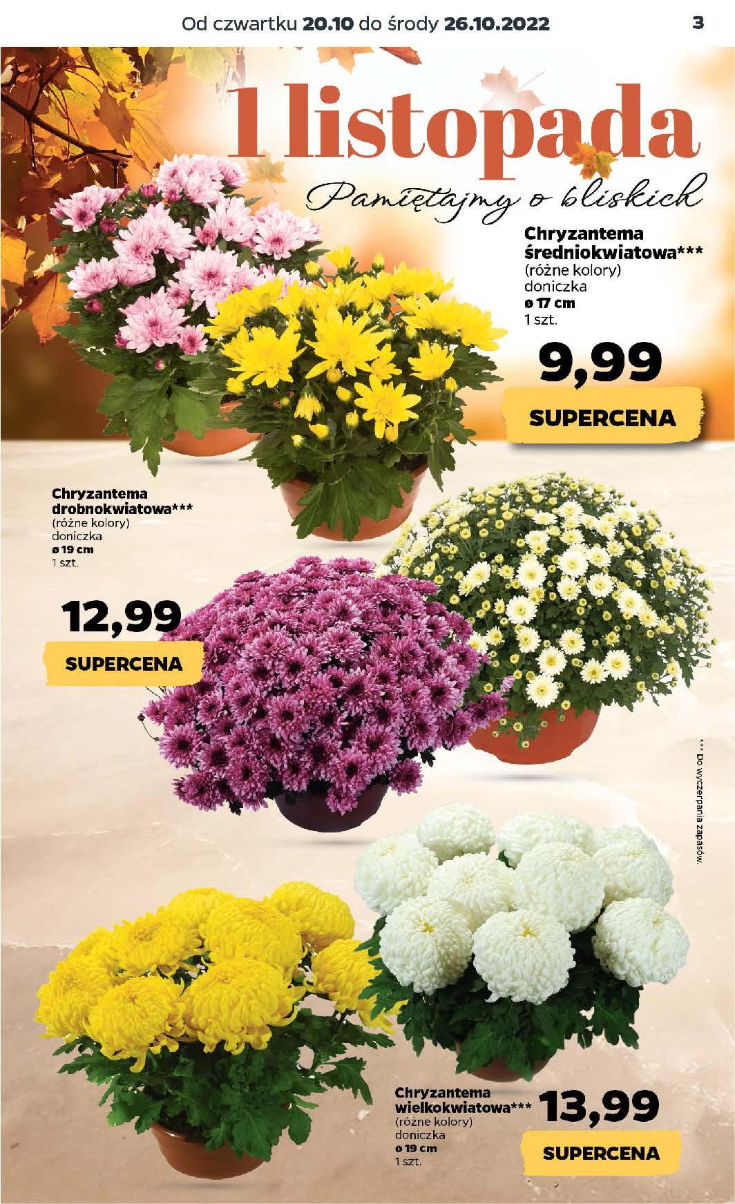 Gazetka promocyjna Netto str. 3